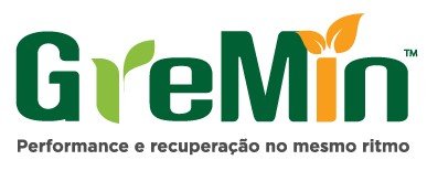 Logo Gremin